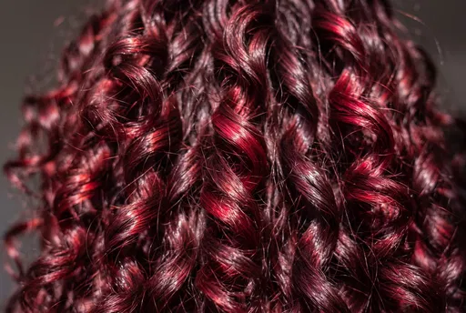 Macro Close-Up of Burgundy Curly Hair