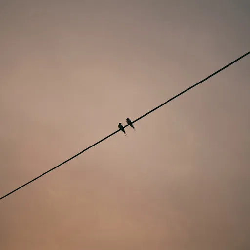 Two Swallows Perched on Diagonal Wire