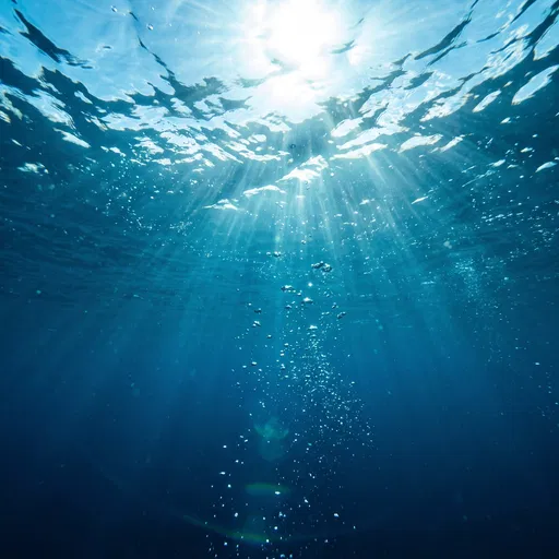 Underwater Sunlight Beams and Rising Bubbles