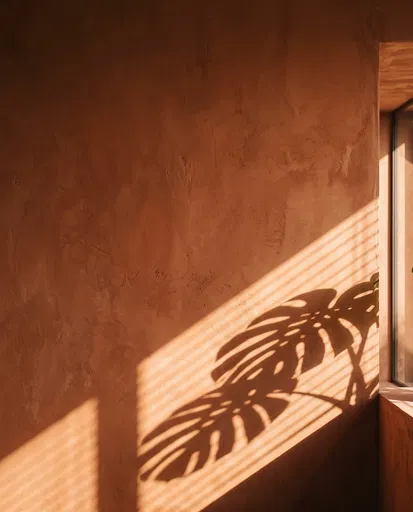 Monstera Leaf Shadows on Terracotta Wall