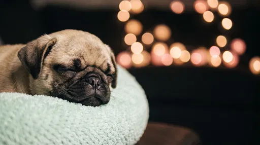 Sleeping Pug Puppy on Mint Pillow