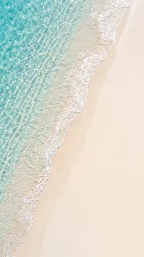 Top Down Tropical Turquoise Beach Shoreline