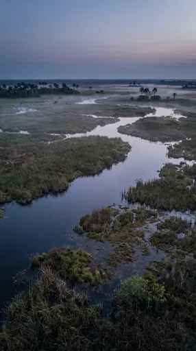 Misty Wetlands at Twilight Aerial View