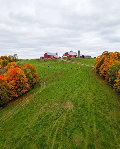 Red Barns on Autumn Hilltop Pasture