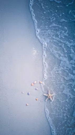 Starfish and Pastel Shells on Twilight Shore