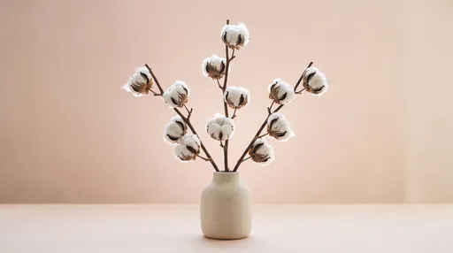 Dried Cotton Stems in Minimal Ceramic Vase