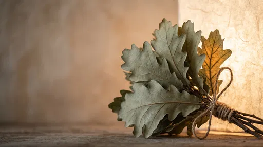Bundled Sage Oak Leaves with Warm Backlight