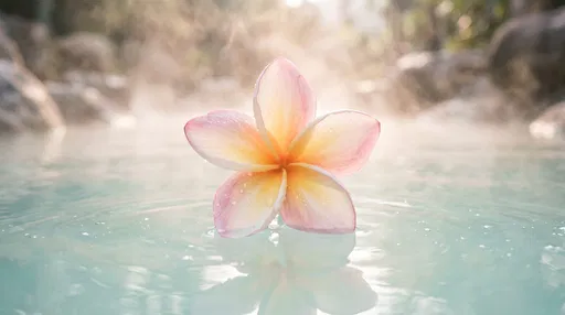 Plumeria Flower on Hot Spring Water