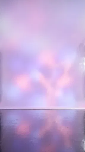 Pastel Lavender and Pink Studio Backdrop