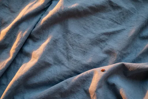 Single Bed Bug on Blue Bedsheet