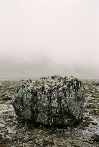 Lichen-Covered Boulder in Heavy Fog