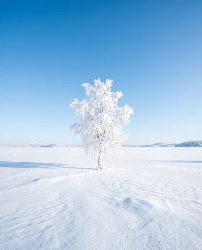 Lone Frosted Tree in Snowy Landscape