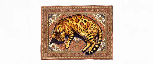Bengal Cat Sleeping on Patterned Rug