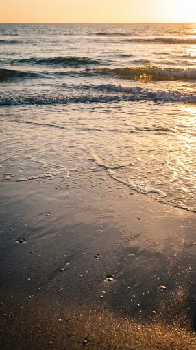 Golden Hour Wet Sand and Ocean Waves