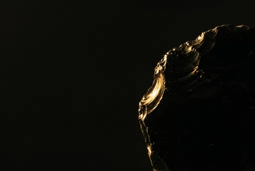 Raw Black Obsidian Glass Macro
