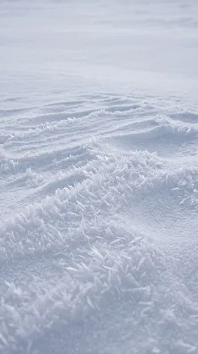 Frost Crystals on Winter Snowdrift