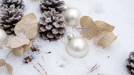 Pinecones and White Baubles in Snow