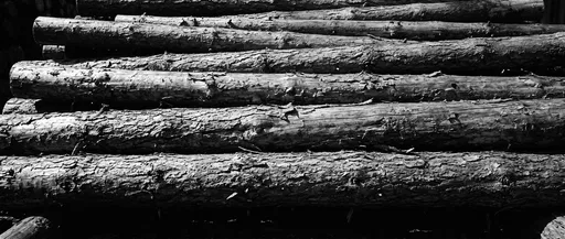 Monochrome Stack of Rough Pine Logs