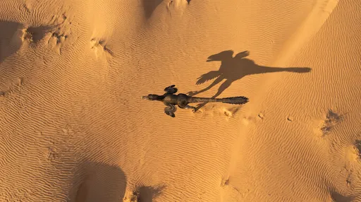 Aerial View of Velociraptor on Sand Dunes