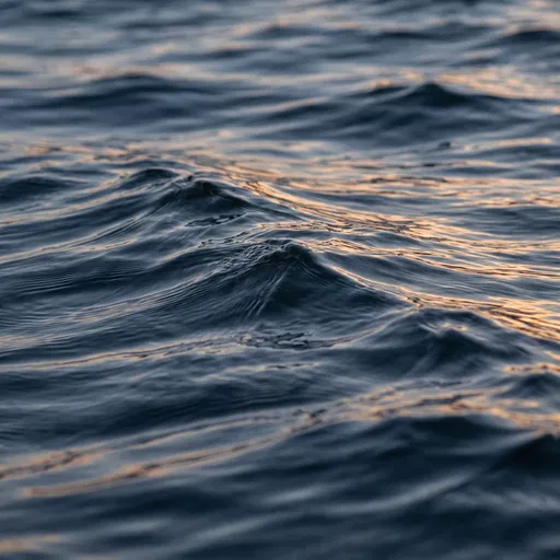 Golden Light on Dark Ocean Ripples