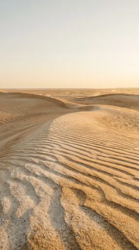 Golden Sand Dunes at Sunset