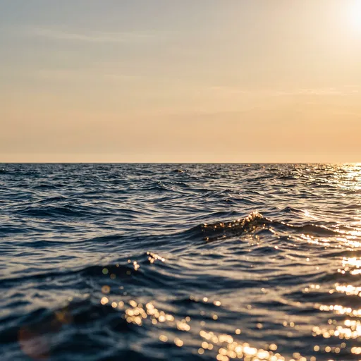 Golden Sunlight Shimmering on Ocean Waves