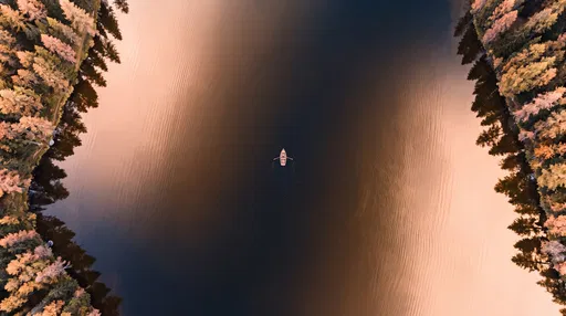 Aerial View of Rowboat on Autumn Lake