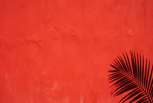 Red Stucco Wall With Palm Shadow