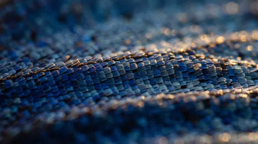 Macro Blue Butterfly Wing Scales
