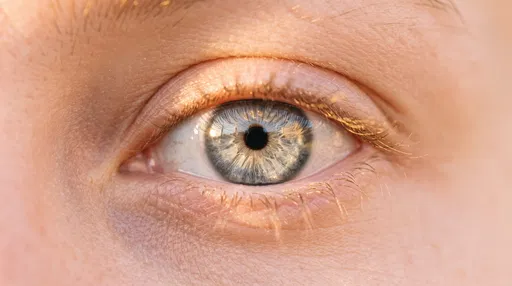 Macro Shot of Light Grey Eye