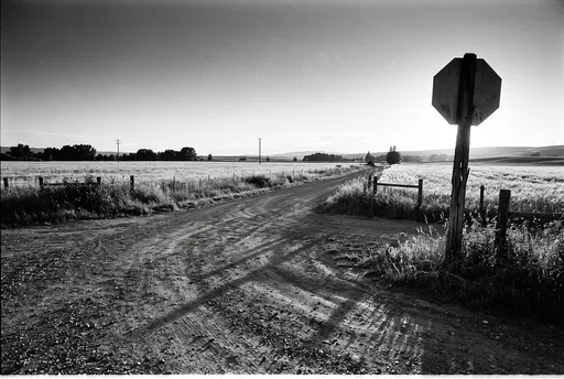 Monochrome Rural Intersection With Stop Sign