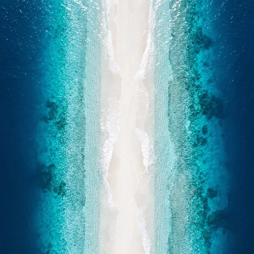 Symmetrical Aerial View of Tropical Sandbar