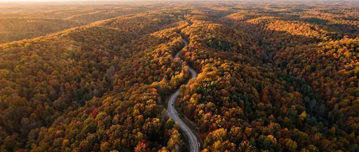 Winding Road Through Autumn Forest Hills