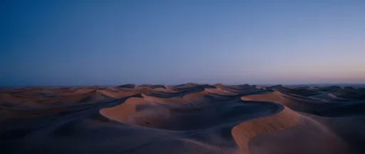 Desert Sand Dunes at Blue Hour
