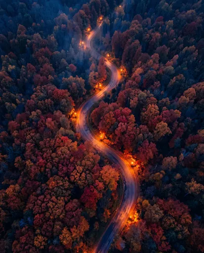 Aerial View of Winding Autumn Road