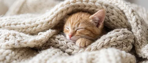 Sleeping Ginger Kitten in Chunky Blanket
