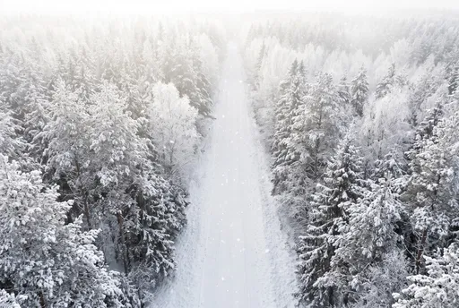 Snowy Forest Road Drone View