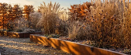 Frosty Winter Garden in Corten Steel Beds