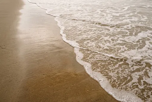 Gentle Seafoam on Wet Tan Sand