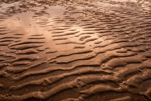 Rippled Wet Beach Sand at Sunset