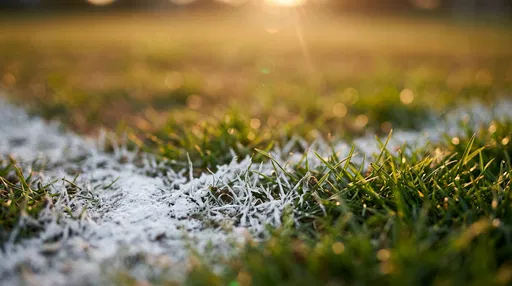 Macro Football Turf Line at Sunset