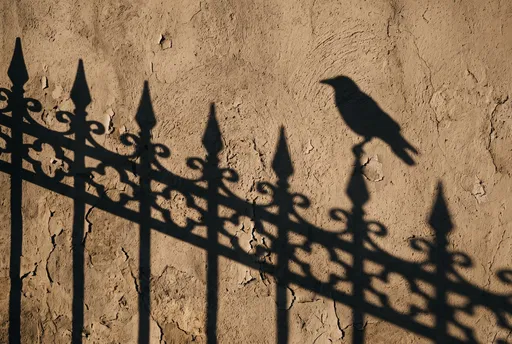 Crow and Iron Fence Shadow on Wall