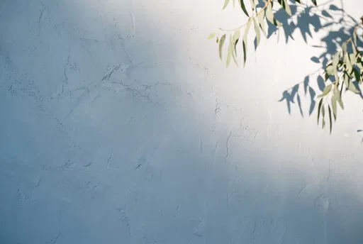 Slate Blue Plaster Wall With Eucalyptus Shadows