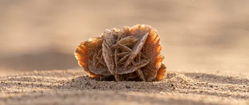 Desert Rose Crystal on Sand