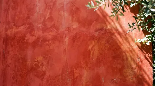 Sunlit Red Plaster Wall With Leaf Shadows