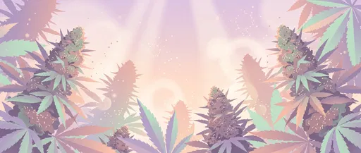 Pastel Vector Illustration of Blooming Cannabis Colas