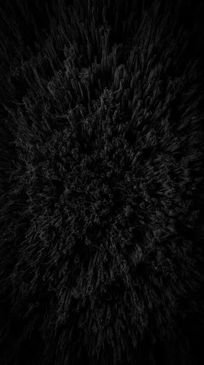 Microscopic Black Carbon Nanotube Texture
