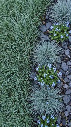 Dewy Lawn Meeting Slate Garden Border