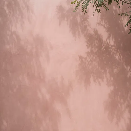 Dusty Rose Wall With Leaf Shadows