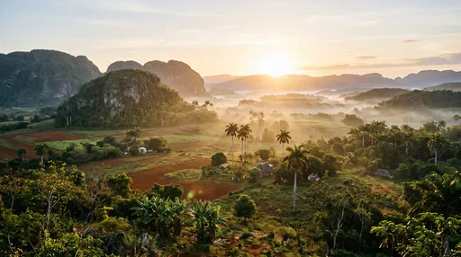 Sunrise Over Misty Caribbean Karst Valley
